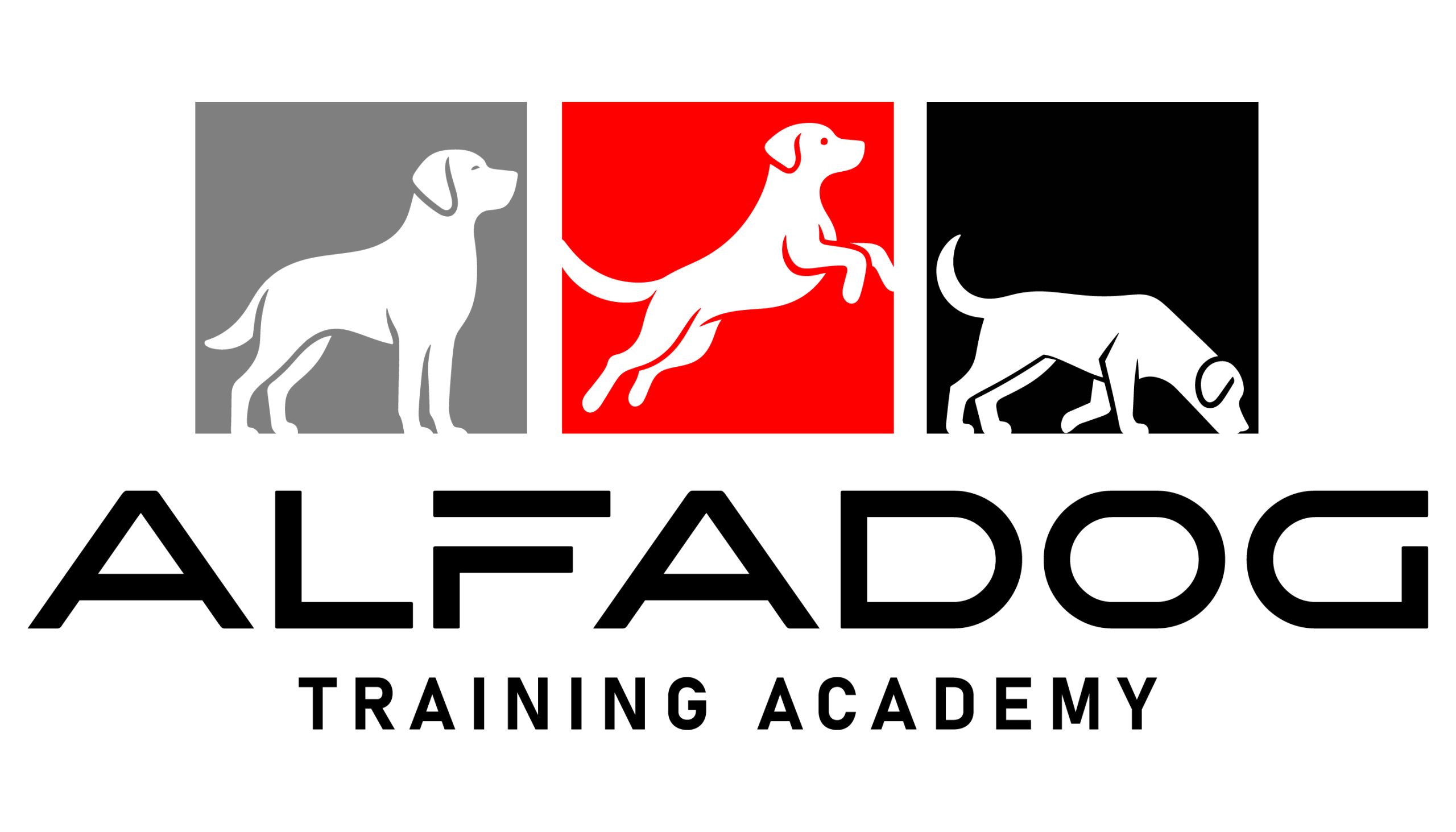 AlfaDog Training Academy